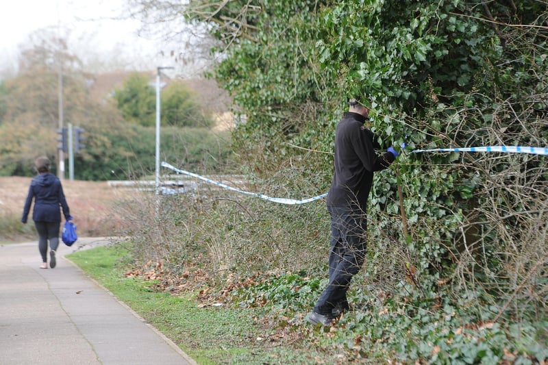 Areas of woodland have been taped off as police teams carry out searches.