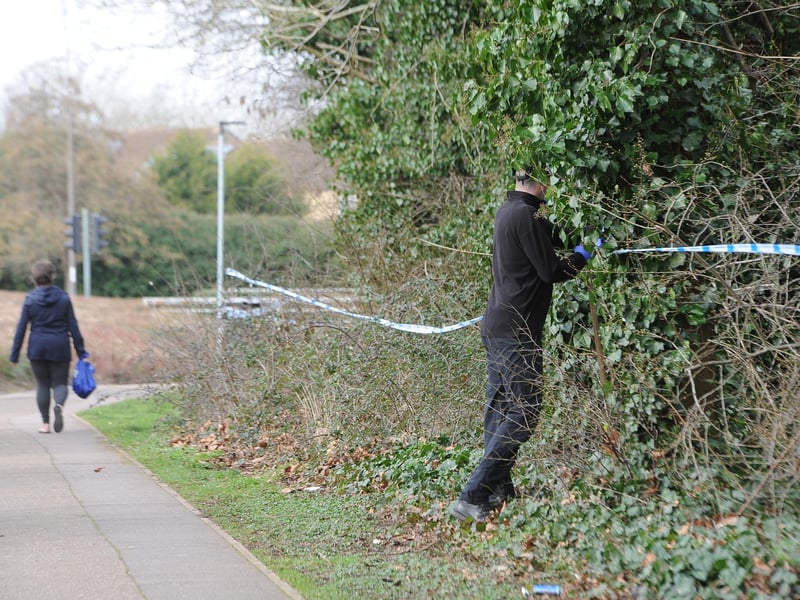 Areas of woodland have been taped off as police teams carry out searches.