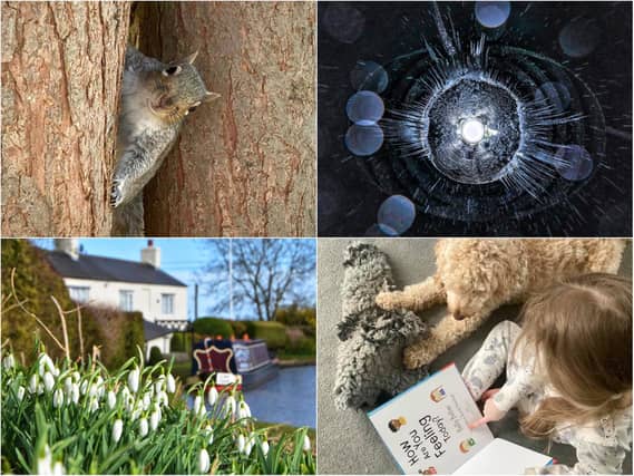 Take a look at the best photographs taken by our readers this week.