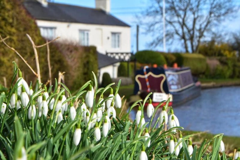 The snowdrops are in bloom - spring is coming!