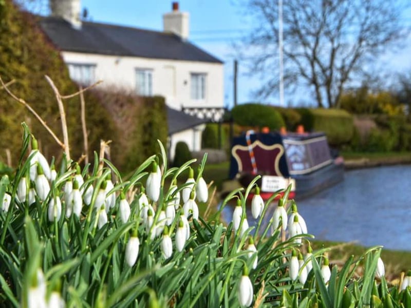 The snowdrops are in bloom - spring is coming!