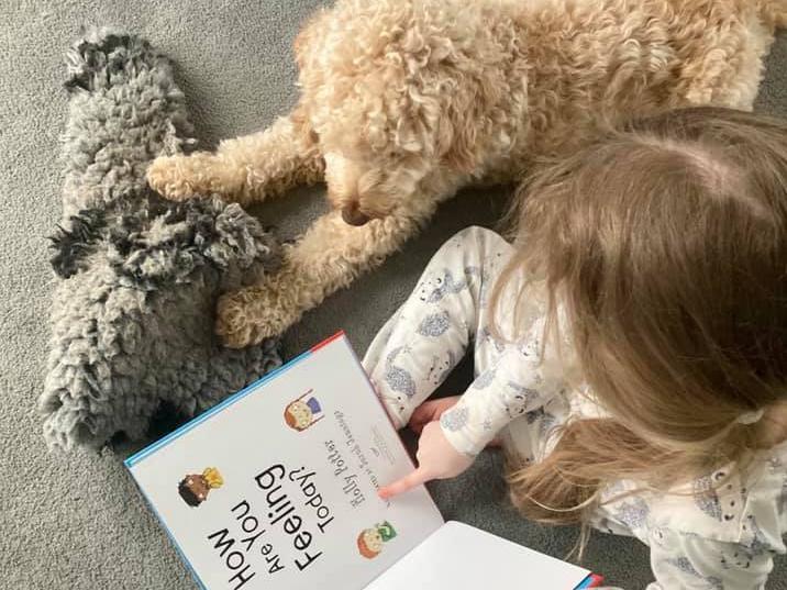 "Our thoughtful six year old sharing 'How Are You Feeling Today?' book with Honey - our dog who got set upon by a cat during her morning walk." Poor Honey! We hope she is feeling better.
