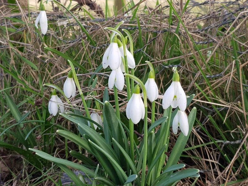 Thank you to Chrissy Brand for sharing this picture with us