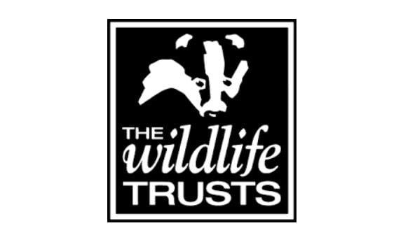 Based in Henfield and working for the Wildlife Trust this role is working to enable young people across Sussex to take effective action for wildlife.