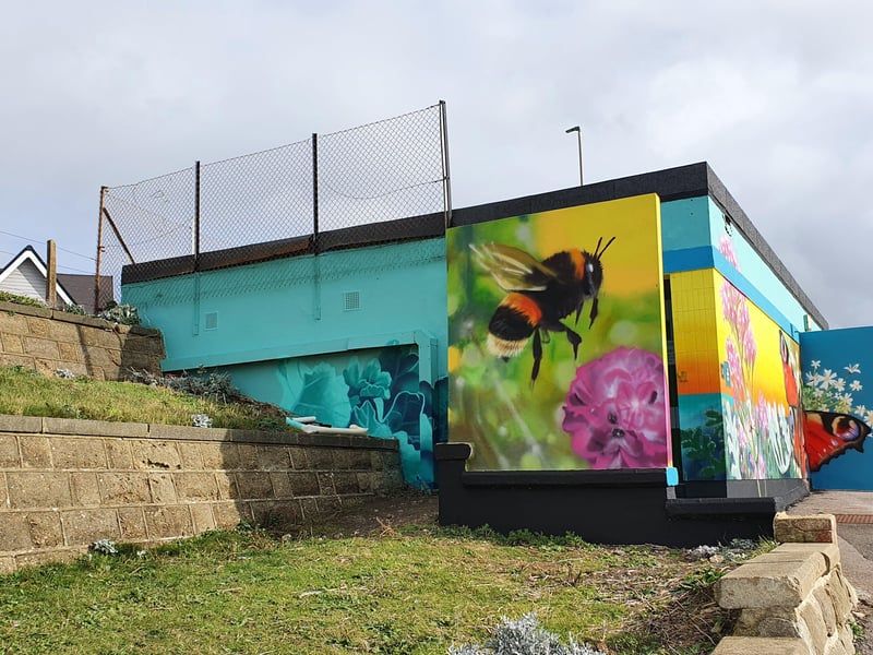 Award-winning Sussex artist ‘S.o.S’ aka Sarah Gillings has created a mural on a neglected WC toilet block adjacent to the Saltdean tunnels.