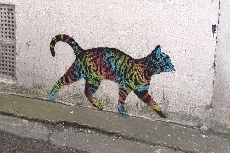 Cat by JPS in West Pallant, Chichester.