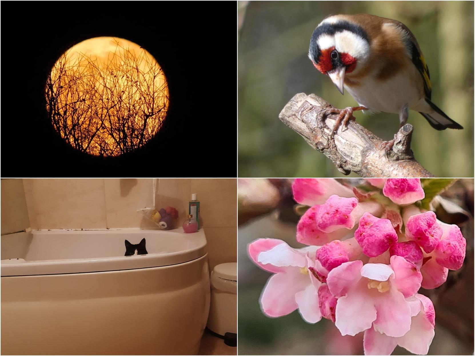 We asked our readers to send in their favourite pictures they took throughout the last week.
