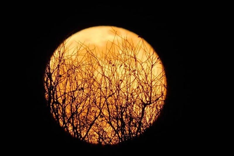 An incredible spooky shot of the moon!