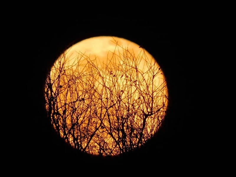 An incredible spooky shot of the moon!