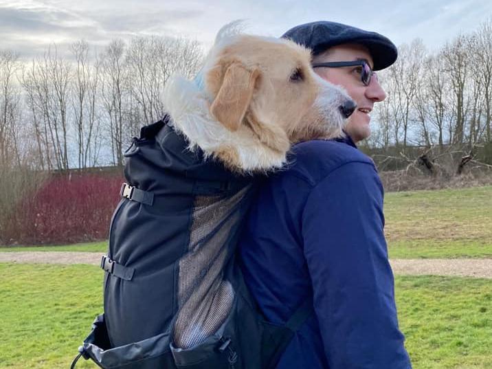 "Enjoying a beautiful walk, whilst trying out the new dog backpack for our front amputee rescue dog."