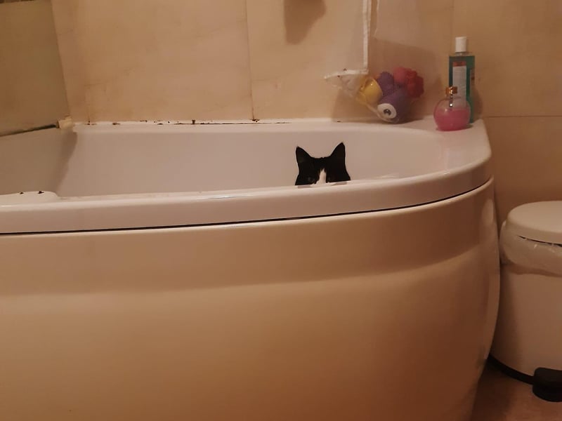 'I dare you to bath me again, Laura.'