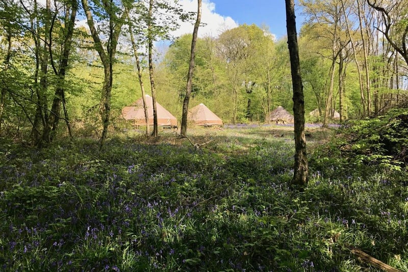 Offgrid, no electricity, glampsite located on a private five-acre woodland, with nine bell tents each equipped with a double bed, cooking equipment and table wear fire pit, grill and eco-stove.