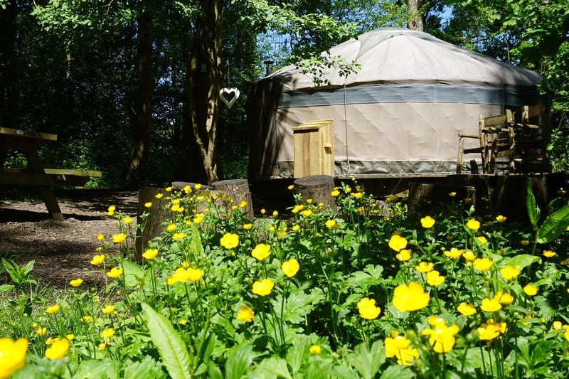 Luxury glamping, yurts/log cabins to rent, woodland craft courses, located on six acres of woodland, on-site cafe, shower/toilet/washing up facilities, car parking available.