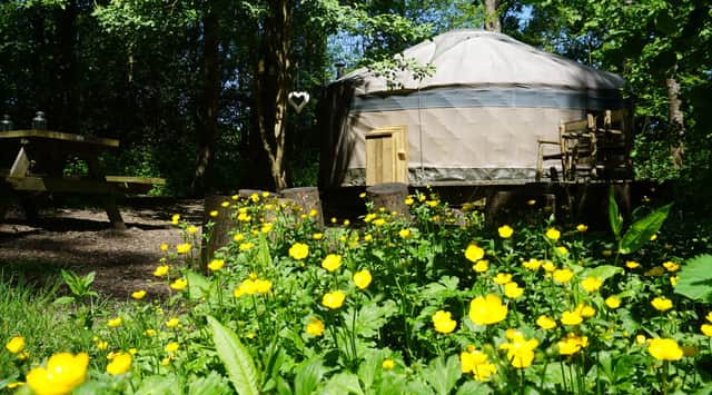 Forest Garden Shovelstrode, secluded luxury camping in yurts and log cabins.