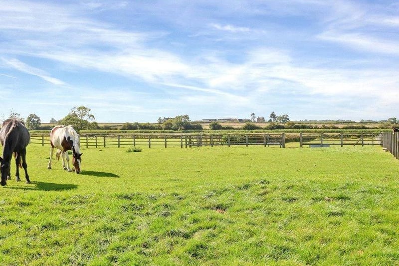 Wayside Farm has amazing paddocks, nine stables and about 46 acres to play with.