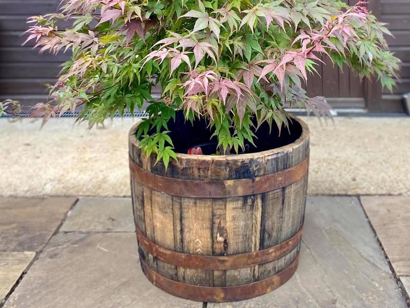 For mothers with green fingers, you can purchase a whiskey barrel planter, which would make for a perfect addition to any garden. They are solid oak and come fresh from the distillery. Whiskey Barrel Planters Northamptonshire offer free delivery to NN and MK postcodes. For more information, visit their Facebook page or website at www.whiskeybarrelplanters.co.uk .