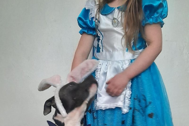 Five-year-old Amber, aka Alice in Wonderland, has swapped her trusty pal The Mad Hatter for her dog, Lucy.