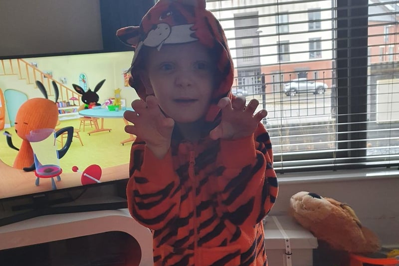 Four-year-old Jakob is the Tiger Who Came To Tea.