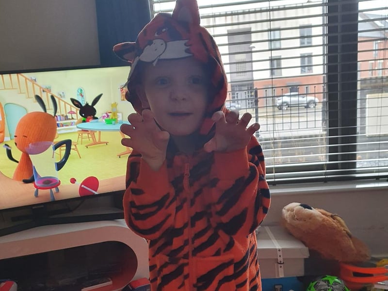 Four-year-old Jakob is the Tiger Who Came To Tea.
