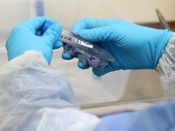 Figures from Public Health England show a breakdown of coronavirus cases in Dacorum for seven days up to October 28. Published on November 3, 2020