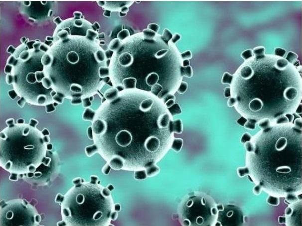 Herts Valleys Clinical Commissioning Group confirmed that the vaccination site for Hemel Hempstead and Dacorum was going to open. Published on January 1, 2021