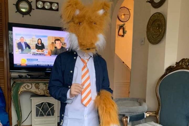Shelby became barley recognisable this morning as he turned into a furry Fantastic Mr Fox.