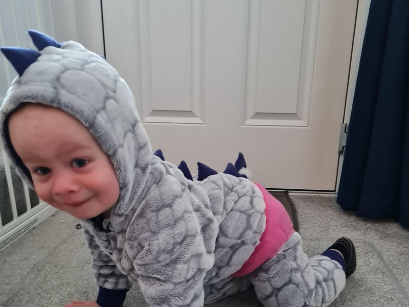Hugh Campbell, aged one, from Bexhill, as a dinosaur, from Dinosaurs Love Underpants SUS-210503-092432001