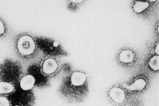 9) Bedford school hit by coronavirus after two siblings tests positive

In September, we revealed how Bedford Academy, in Mile Road, had confirmed its first cases of Covid-19 after two siblings tested positive.