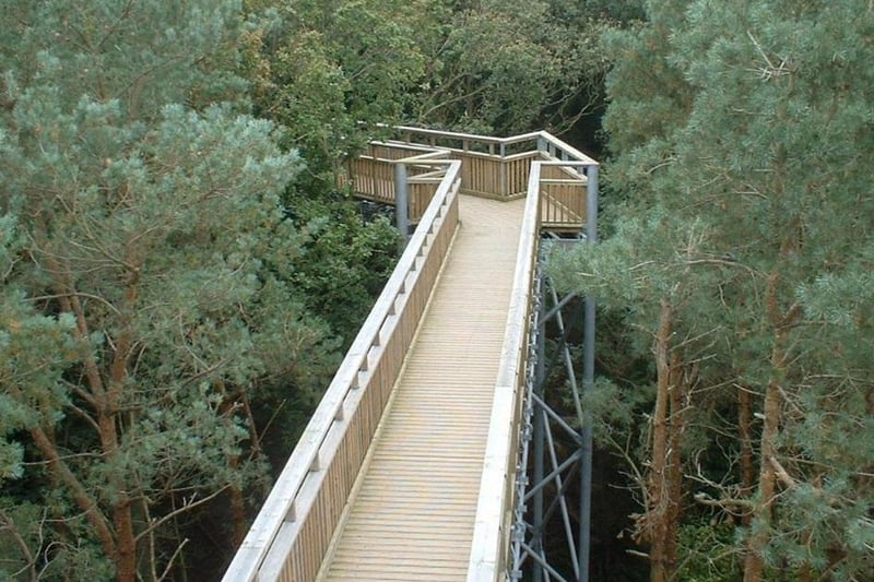Although the Tree Top walk is still shut, Salcey Forest also offers other family walks and cycle tracks among the woodland, which has many miles of ancient wood banks, building remains and ancient trees.