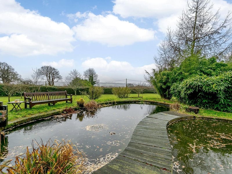 Fully enclosed gardens mainly laid to lawn with mature specimen trees, box hedging and flower beds.