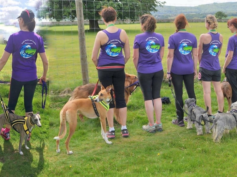 Members of the canicross group