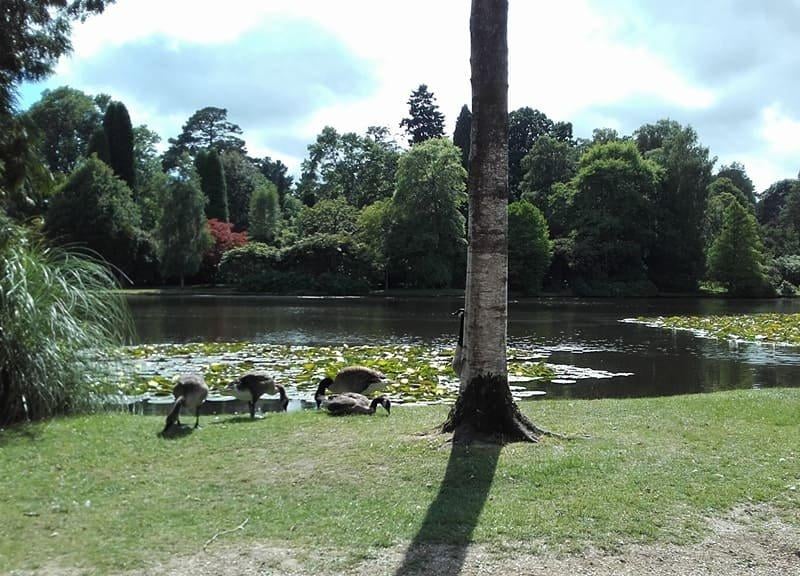 The second most popular place people left the area for was Wealden, with 527 departures in the year to June 2019. Picture: Elaine Hammond SUS-170627-101555001