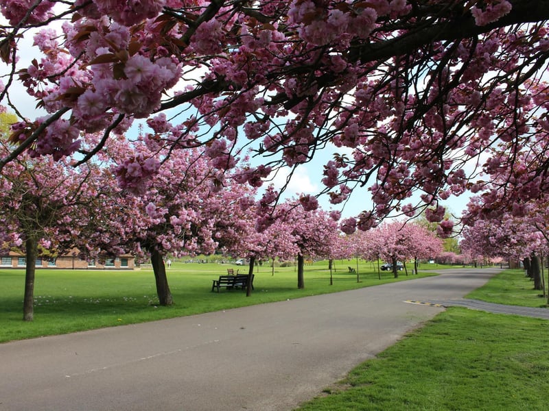 Spring blossomed across the empty 600-acre site of the UK's largest Zoo (C) ZSL