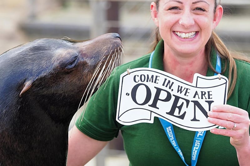 Open! ZSL Whipsnade Zoo was able to reopen, with limited capacity, from 15 June 2020 (C) ZSL