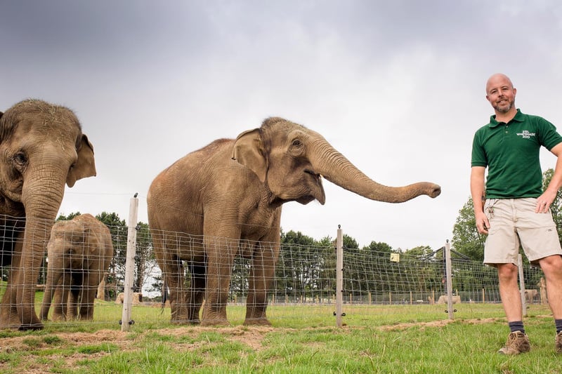 Dedicated vets and zookeepers like Elephants team leader Stefan Groeneveld cared for the animals at ZSL Whipsnade Zoo despite there being no income from visitors (C) ZSL