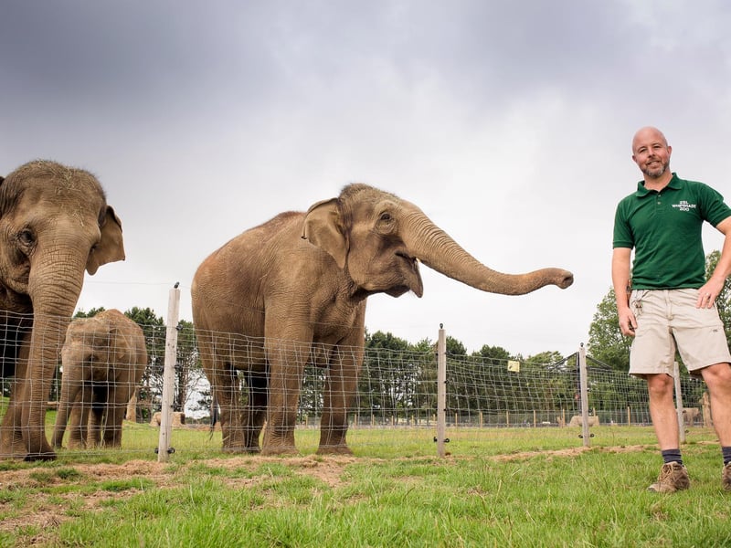 Dedicated vets and zookeepers like Elephants team leader Stefan Groeneveld cared for the animals at ZSL Whipsnade Zoo despite there being no income from visitors (C) ZSL
