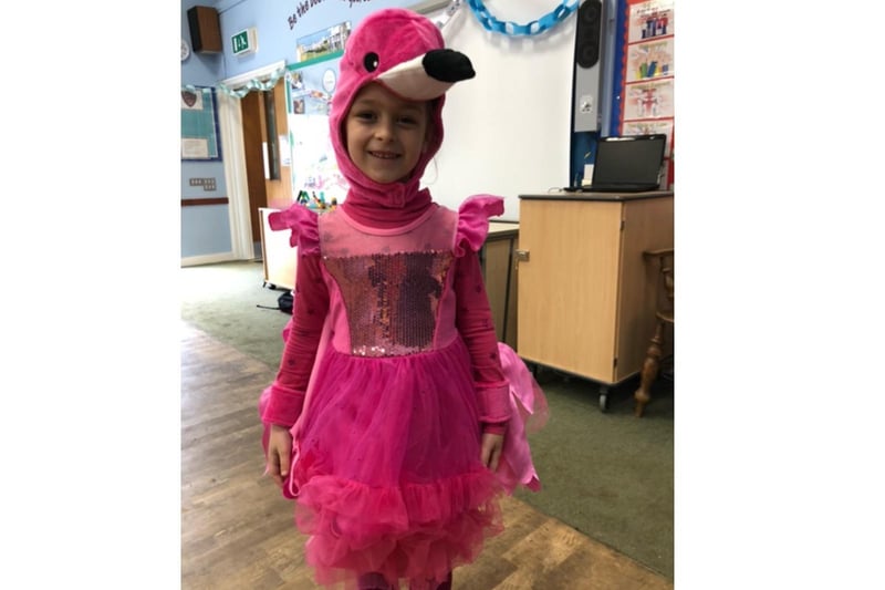 Willow from class 2 at Bishop Carpenter Primary dress as a flamingo for Red Nose Day (photo from Bishop Carpenter Primary)
