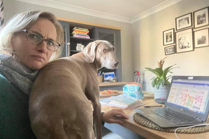 Many people have been working from home throughout the last 12 months and this looks set to continue for many more months to come. Shana Burchett sent in this picture of her working from home .... with the dog who is clearly keen to help