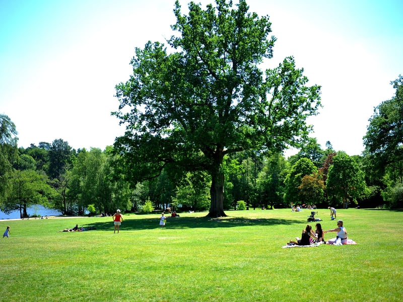 The eighth most common place people arrived from was Crawley, with 143 arrivals in the year to June 2019. Pictured is Tilgate Park