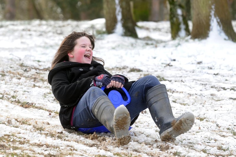 It's a great hill to sled down at Tilgate Park