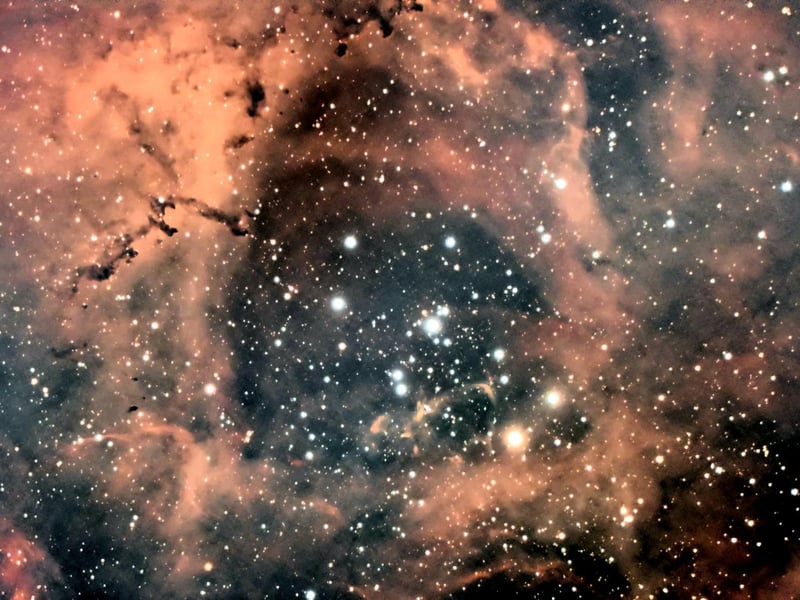 A Rosette Nebula