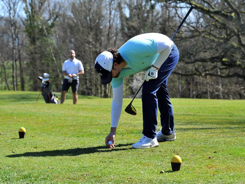 Golfers at Mannings Heath / Picture: Steve Robards
