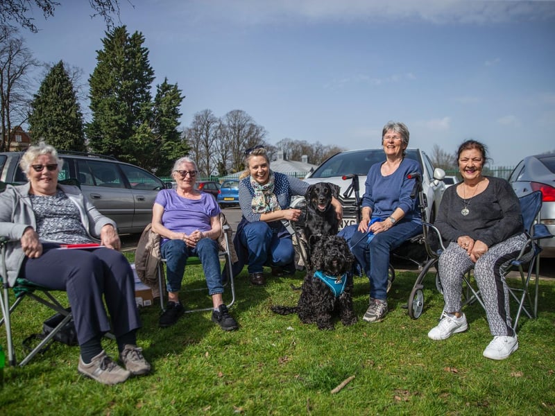 The dogs were glad to be out too. Photo: Kirsty Edmonds.