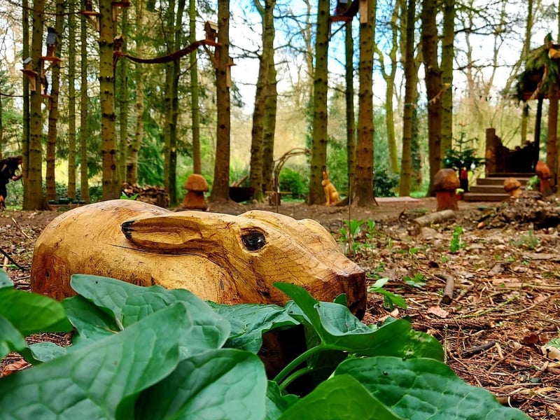 From March 30 to April 5, Evenly Wood Garden in Brackley will be hosting their annual Easter hunt. There is a sensory trail to complete for little ones and a bunny burrow where you might catch a glimpse of the Easter bunny! The elusive golden egg is hidden somewhere in the wood, will you be able to find it to claim the giant egg?