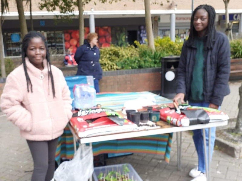 Handing out free seeds to create a Smile of Sunflowers for Southwick