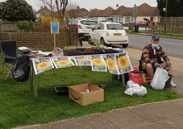 Handing out free seeds to create a Smile of Sunflowers for Southwick