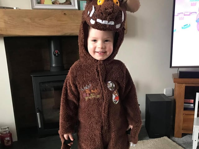 Harry Barton, three, from Nether Heyford, as The Gruffalo