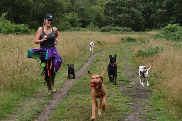 Amy Dobson-Smith, a dog walker from Hemel Hempstead, is offering free dog walks for the NHS staff during these difficult times. Email Amy on spotondogwalksandadventures@outlook.com