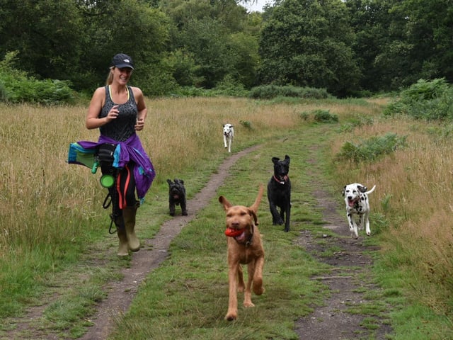 Amy Dobson-Smith, a dog walker from Hemel Hempstead, is offering free dog walks for the NHS staff during these difficult times. Email Amy on spotondogwalksandadventures@outlook.com
