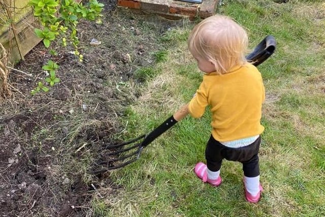 Edie Grace aged 1 helping with gardening